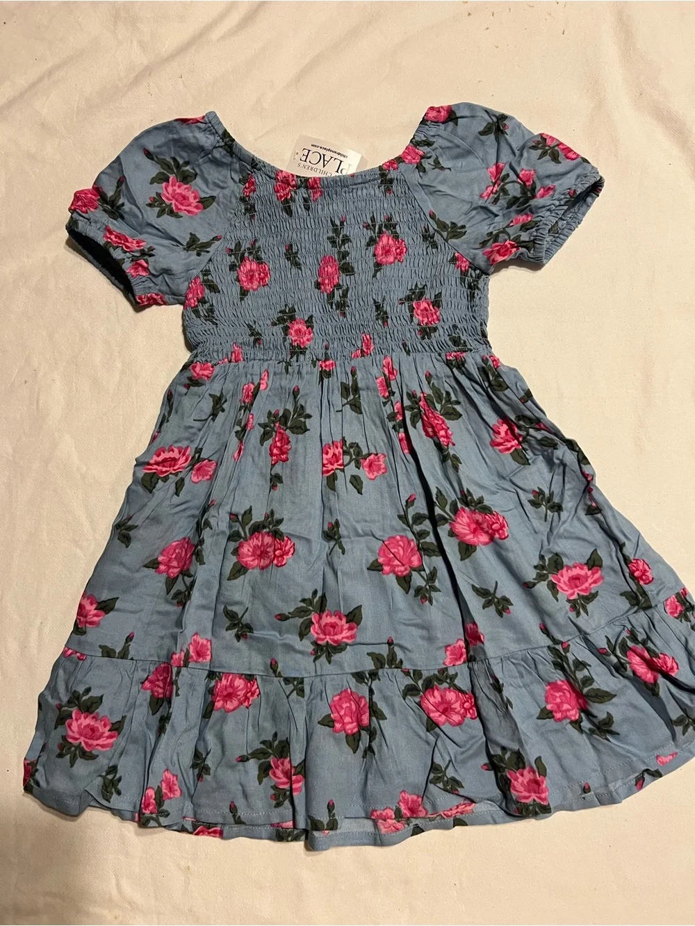 The Children's Place Blue Floral Smocked Dress with Pink Roses